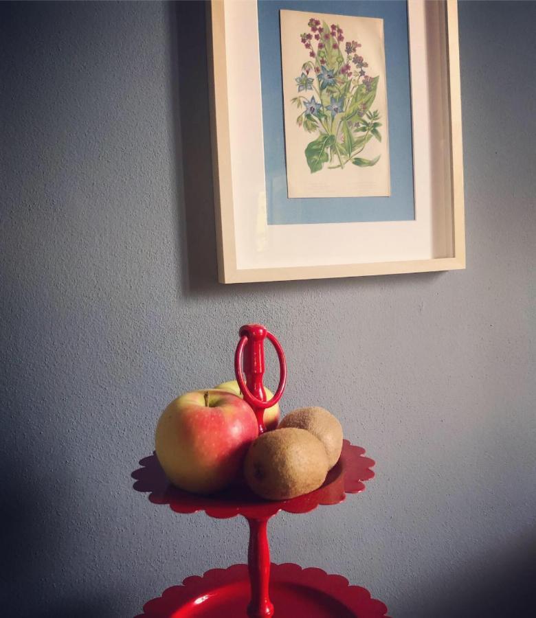 بارما B&B Podere Merlo المظهر الخارجي الصورة